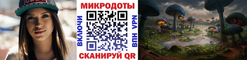 Купить закладки  Петров Вал  Псилоцибиновые грибы MAGIC MUSHROOMS 
